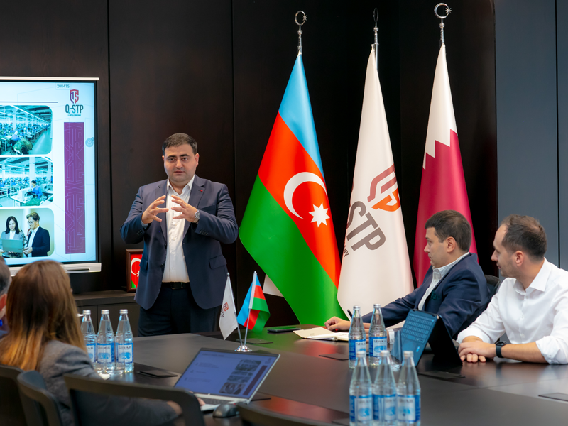 Peşəkar idarəetmə sistemi